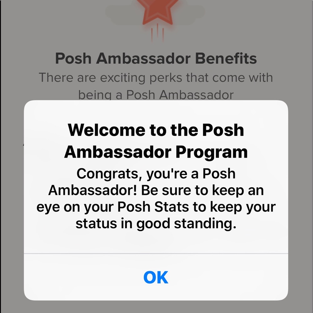 Poshmark Ambassador✨🤎 - Picture 2 of 5